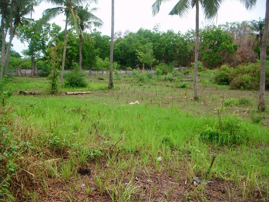 North Bali land for sale by owner