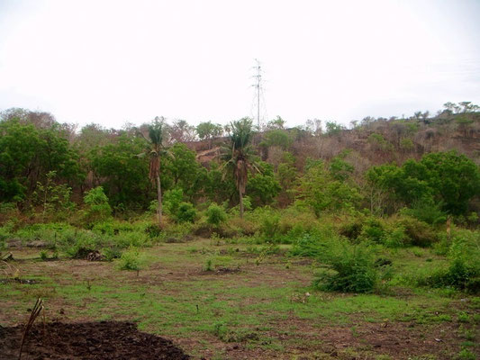 North Bali land for sale by owner