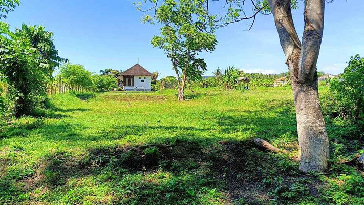 Jasri property for sale. For sale by owner
