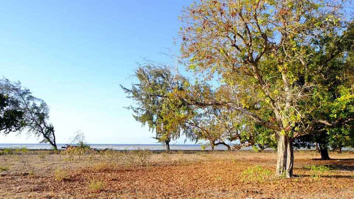 Sumba property for sale