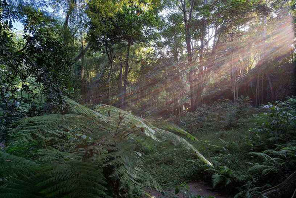 Tabanan real estate for sale