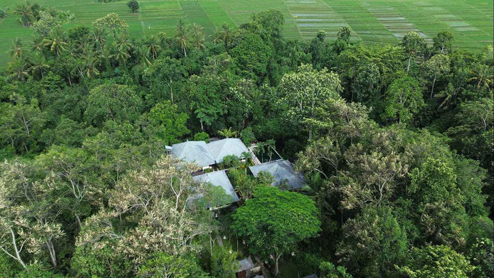 Bali real estate for sale