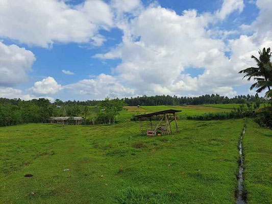 Tabanan land for sale