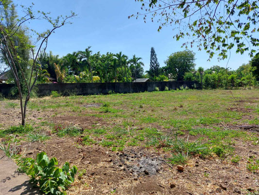 Pemuteran land for sale