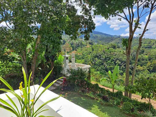 Bedugul villa for sale