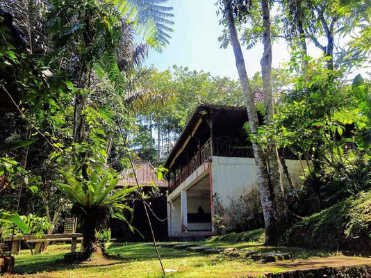 Ubud Villa zu verkaufen