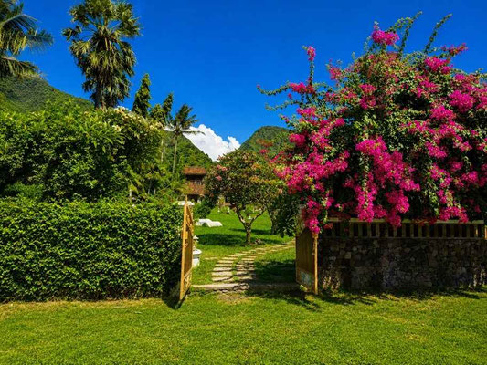 Oost Bali onroerend goed te koop