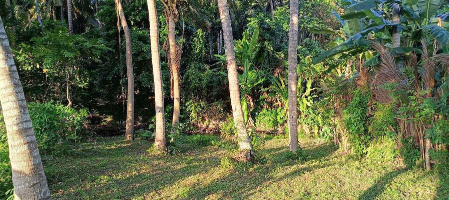 Dijual rumah di Jasri