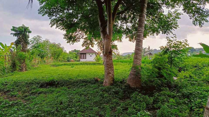 Dijual rumah di Jasri