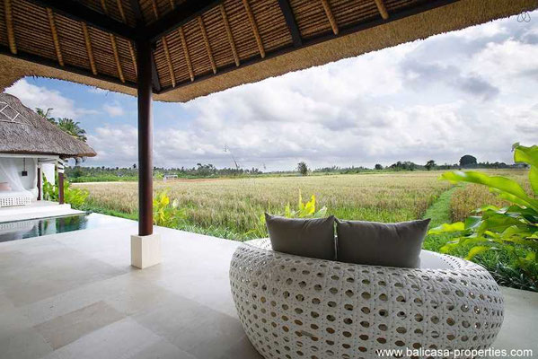 Ubud villa for sale