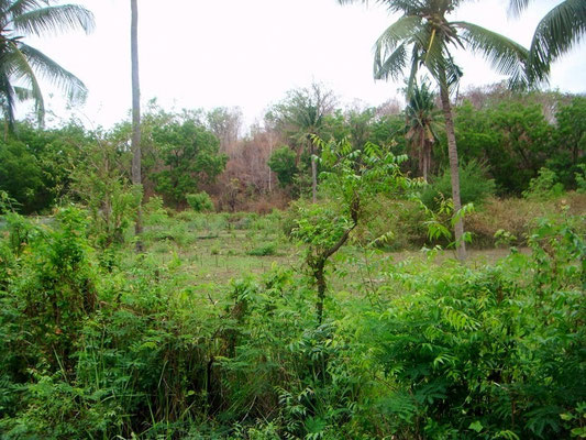 North Bali land for sale by owner