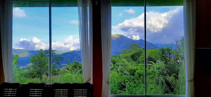 Kintamani property for sale