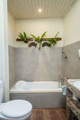Ubud property for sale