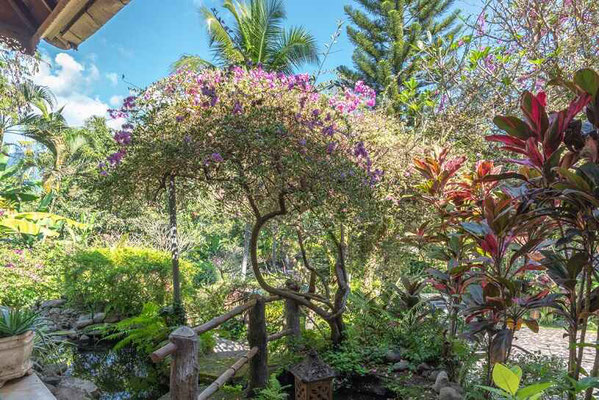 North Bali villa for sale
