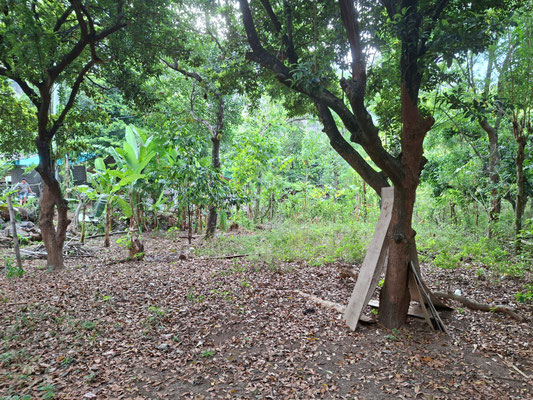 Amed real estate for sale