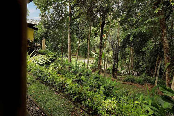 Bali villa for sale