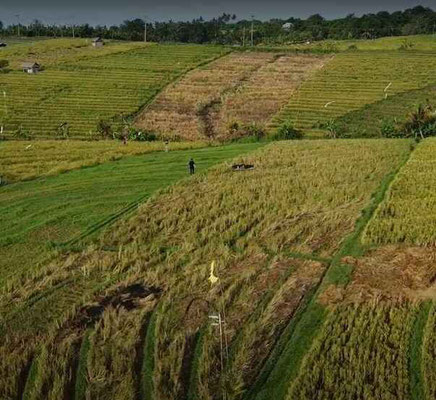 Tabanan land for sale