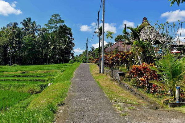 Tabanan real estate for sale