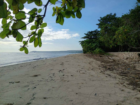 Sumba property for sale