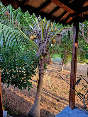 Nusa Lembongan Immobilien zu verkaufen