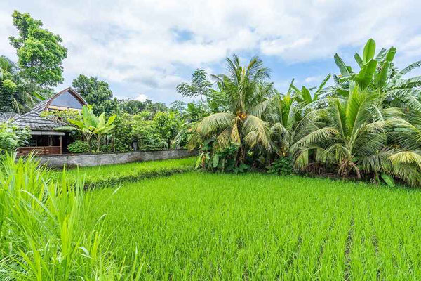 Haus zu verkaufen in Ost Bali