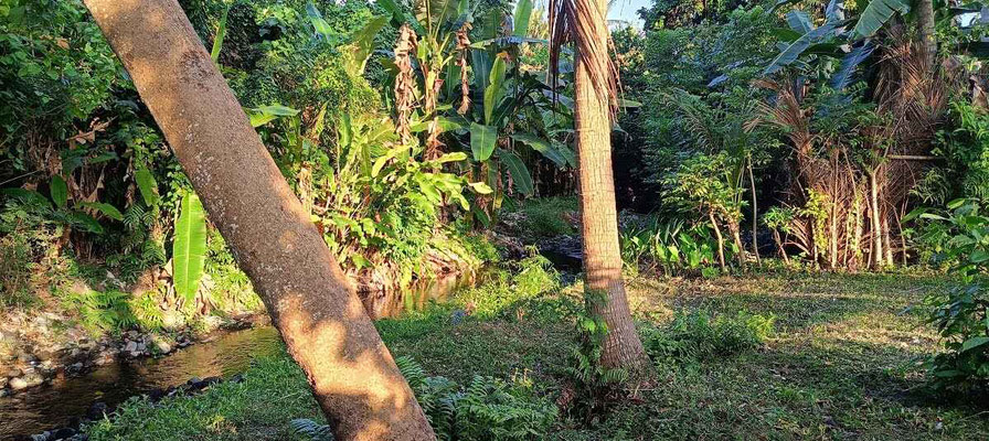 Dijual rumah di Jasri