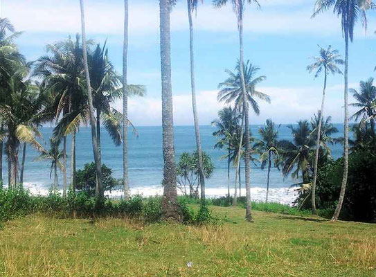 Tabanan land for sale