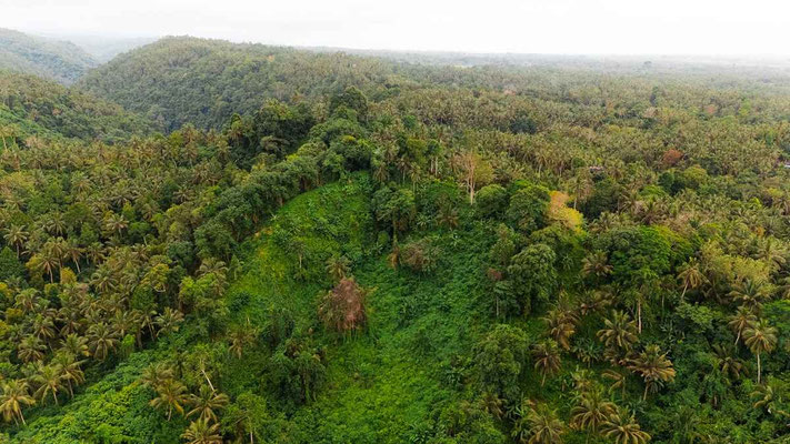 West Bali vastgoed te koop