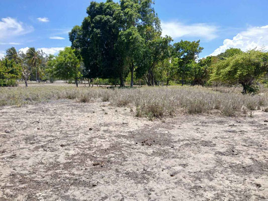 Laipori land for sale