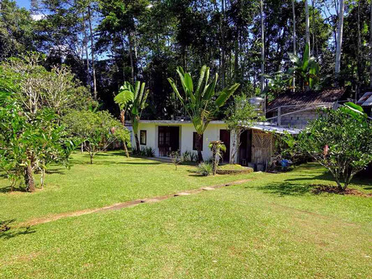 Ubud real estate for sale