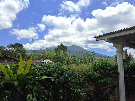 Bedugul villa for sale
