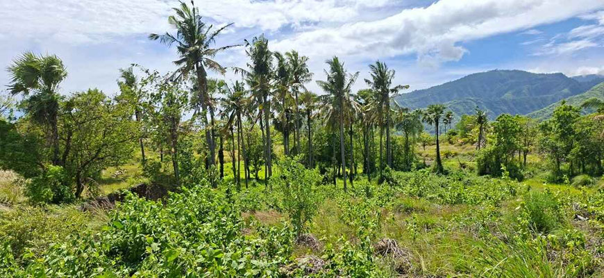 Amed land for sale