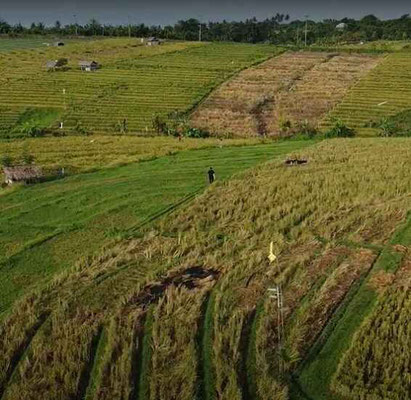 Tabanan land for sale