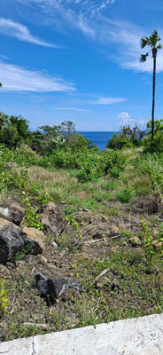 Amed land for sale