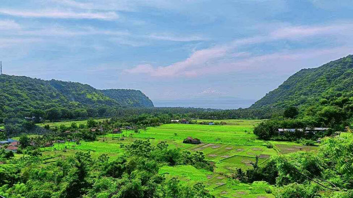 Dijual properti di Jasri