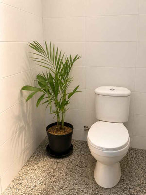 Denpasar onroerend goed te koop