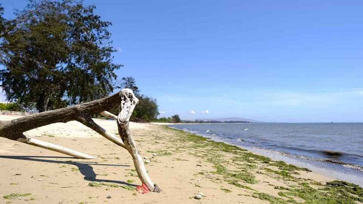 Sumba real estate for sale