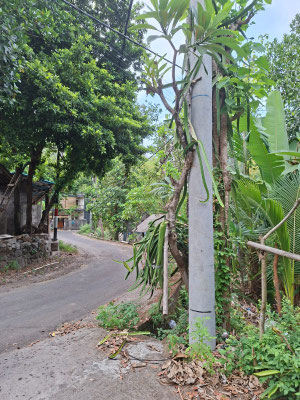 Amed real estate for sale