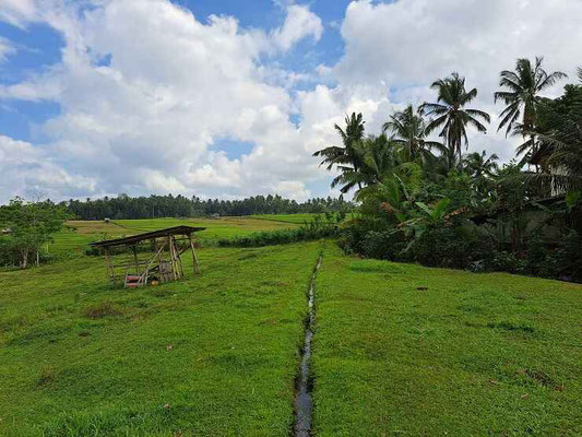 Tabanan land for sale