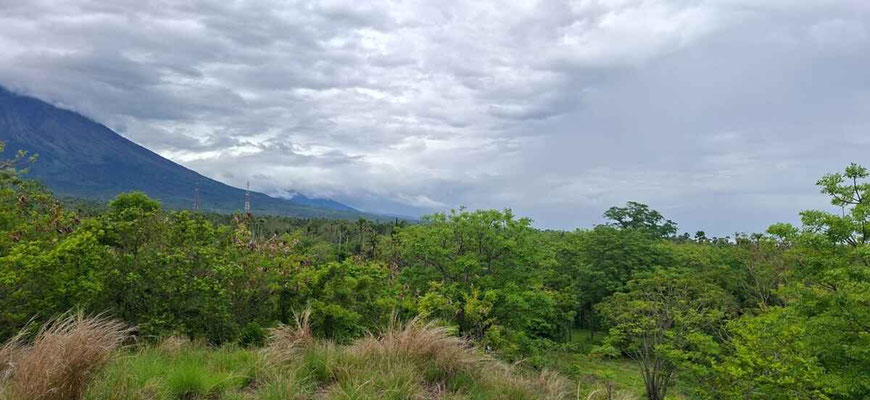 Amed land for sale