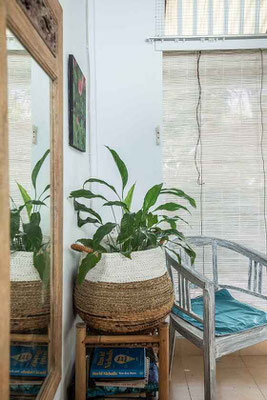 Ubud property for sale