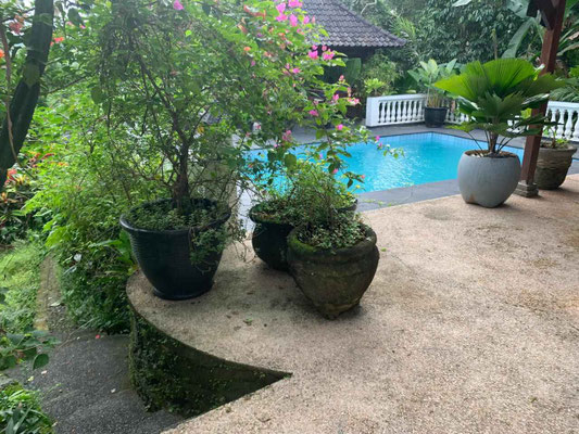 Kerambitan villa for sale