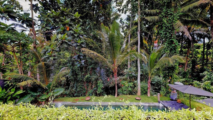 Ubud hotel for sale. Ubud hotel for sale by owner