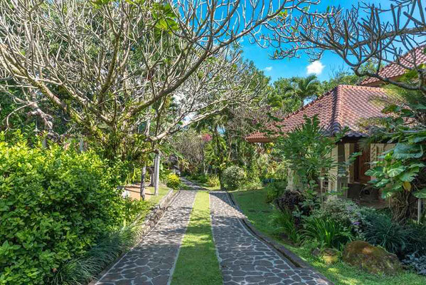 North Bali villa for sale