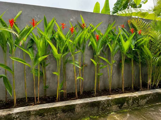 Dijual properti di Denpasar