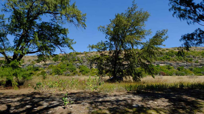 Sumba land for sale