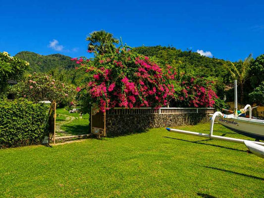 East Bali property for sale
