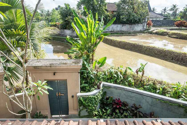 Ubud house for sale