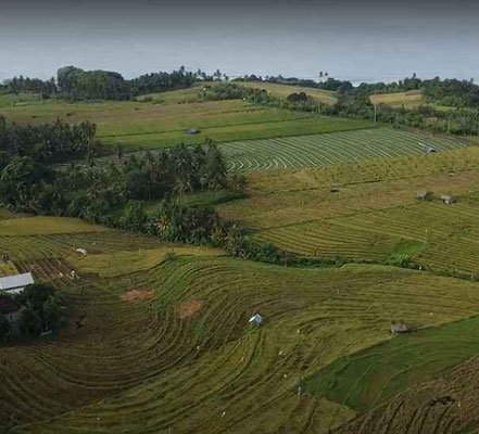 Tabanan land for sale