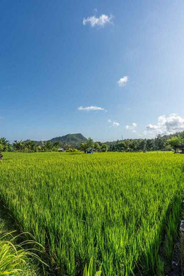 Huis te koop in Oost Bali